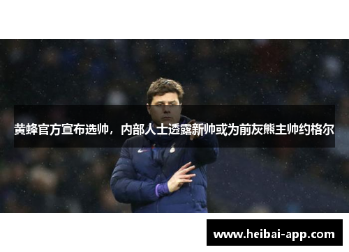 黄蜂官方宣布选帅，内部人士透露新帅或为前灰熊主帅约格尔